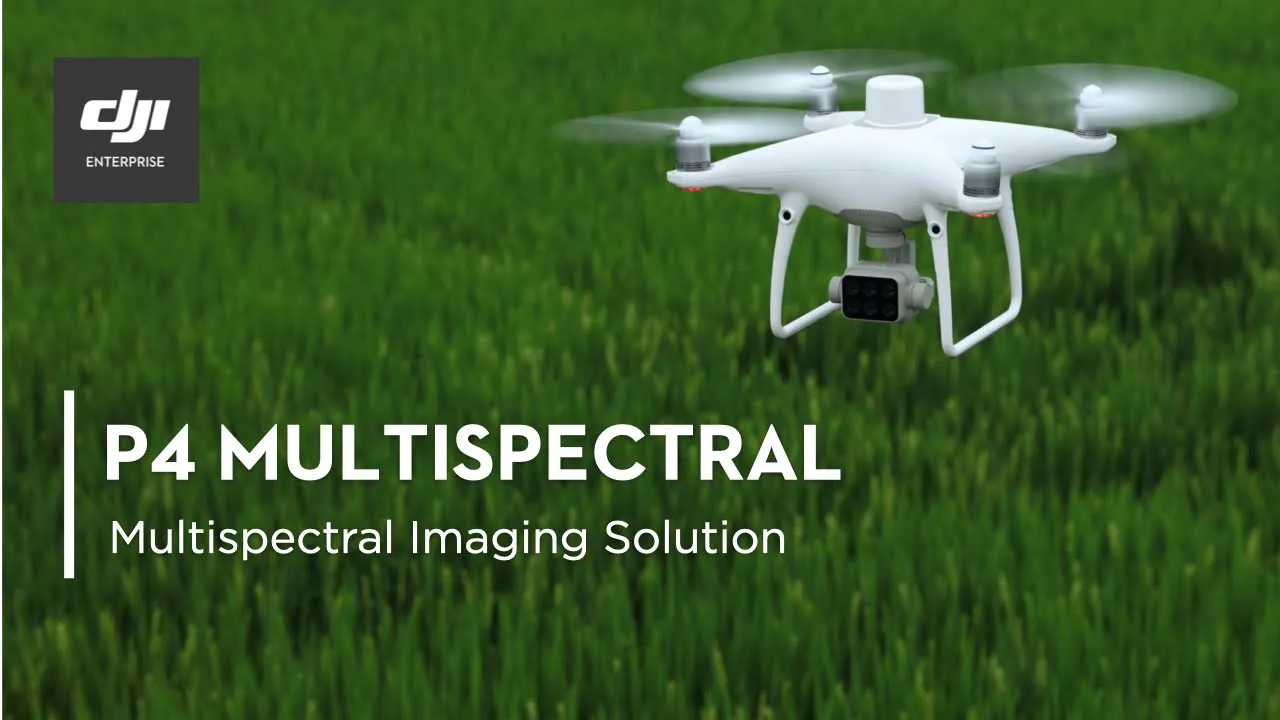 DJI Phantom 4 Multispectral - многоспектральное решение для дронов